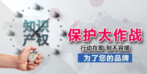 知识产权保卫战 当侵权来袭，专业服务刻不容缓